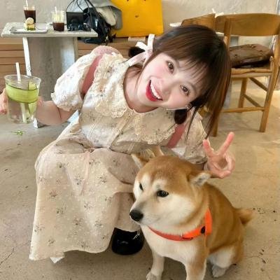 爱是一把枪